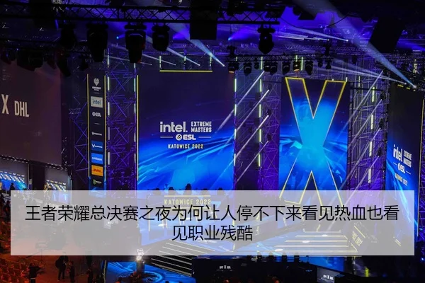 王者荣耀总决赛之夜为何让人停不下来看见热血也看见职业残酷